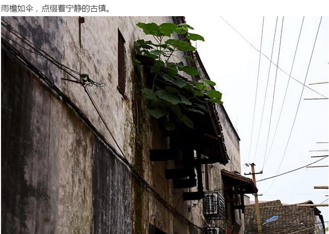 龍溪古鎮(圖26)
