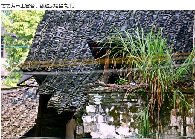 龍溪古鎮(圖36)