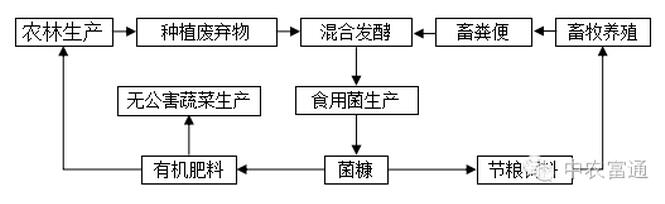 縣域循環農業發展模式淺談(圖1)