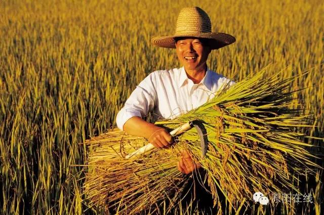 現(xiàn)代化的農(nóng)民很幸福(圖1)