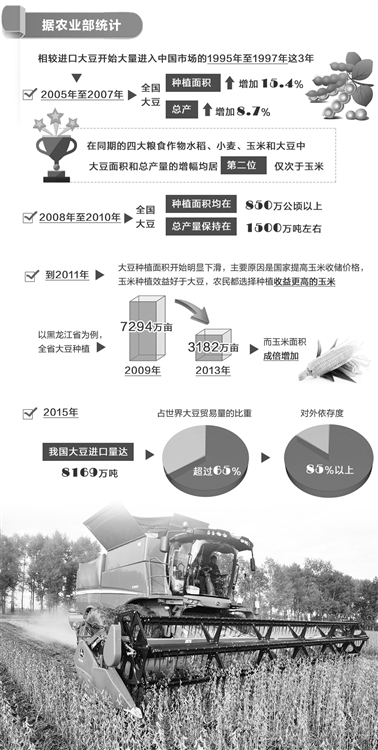 關注國產大豆振興:提單產、破重圍(圖1)