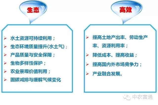 陳阜:中國農業的轉型發展(圖2)