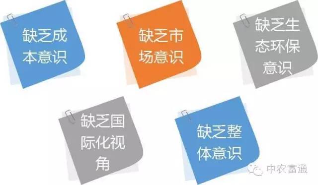 陳阜:中國農業的轉型發展(圖1)