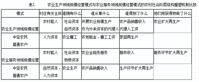 趙曉峰等:農(nóng)地規(guī)模經(jīng)營(yíng)與農(nóng)村社會(huì)階層結(jié)構(gòu)重塑(圖1)
