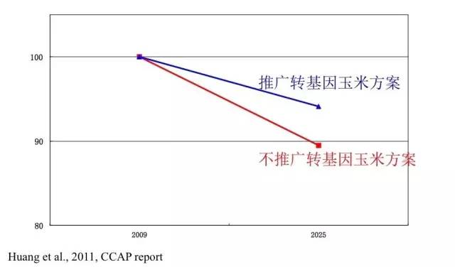 黃季焜:發展轉基因對農民和消費者有什么好處(圖11)
