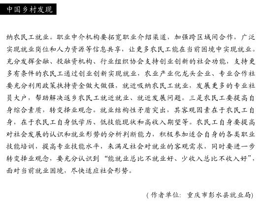 劉志潘:當前農民工外出就業困境分析(圖5)