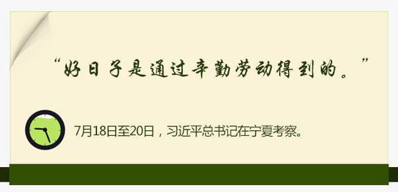 2016:習近平的“三農”情懷(圖11)