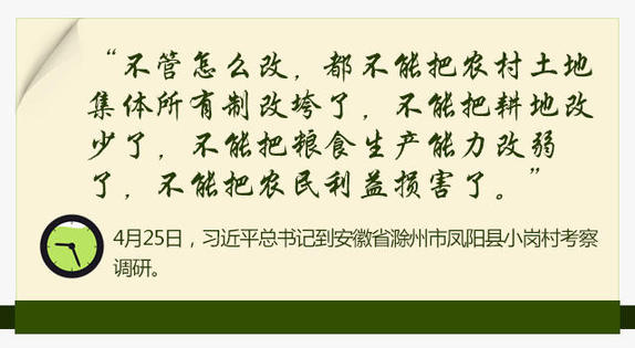 2016:習近平的“三農”情懷(圖8)