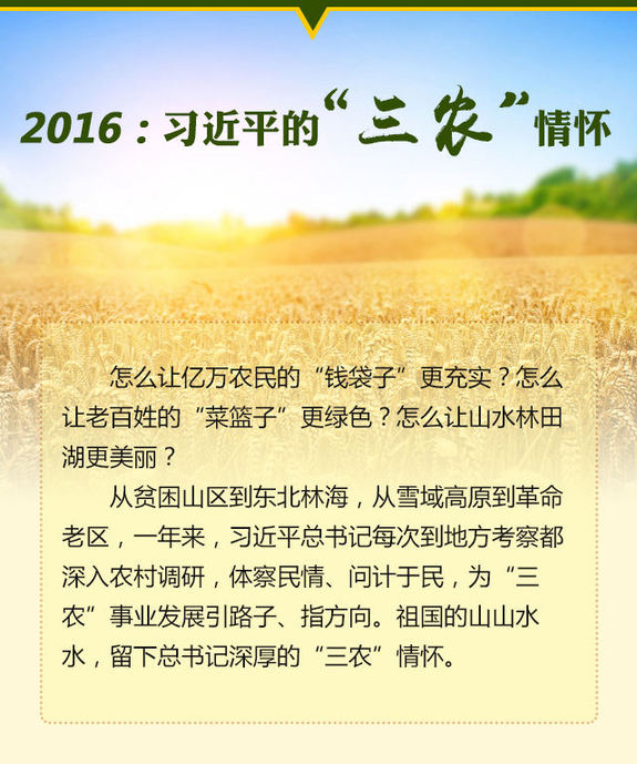 2016:習近平的“三農”情懷(圖1)