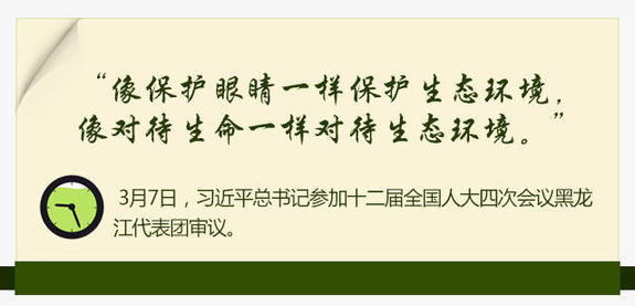 2016:習近平的“三農”情懷(圖5)