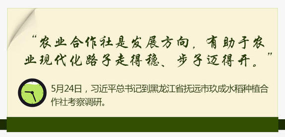 2016:習近平的“三農”情懷(圖10)