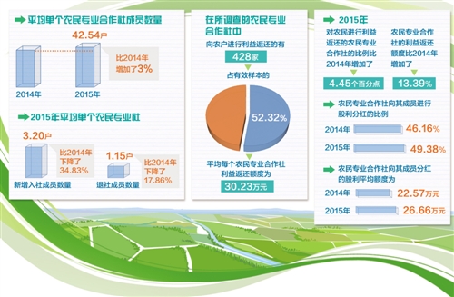 新型農業經營主體社會績效凸現(圖1)