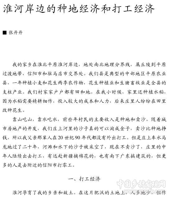 張丹丹:淮河岸邊的種地經濟和打工經濟(圖1)