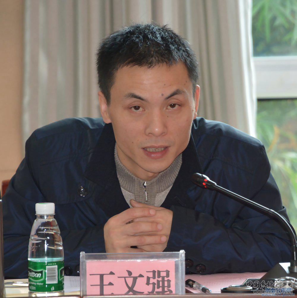 王文強:湖南落實鄉村振興戰略的突破口(圖1)