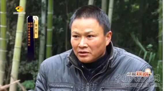 脫貧的攻堅人(圖4)