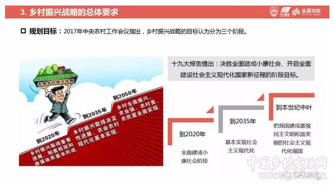 鄉(xiāng)村振興戰(zhàn)略發(fā)展研究及輿情分析報告(圖29)