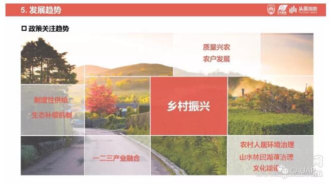 鄉(xiāng)村振興戰(zhàn)略發(fā)展研究及輿情分析報告(圖33)