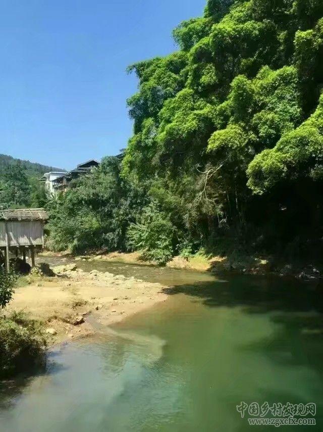 美麗壯鄉(xiāng)書寫農(nóng)村新生活(圖6)