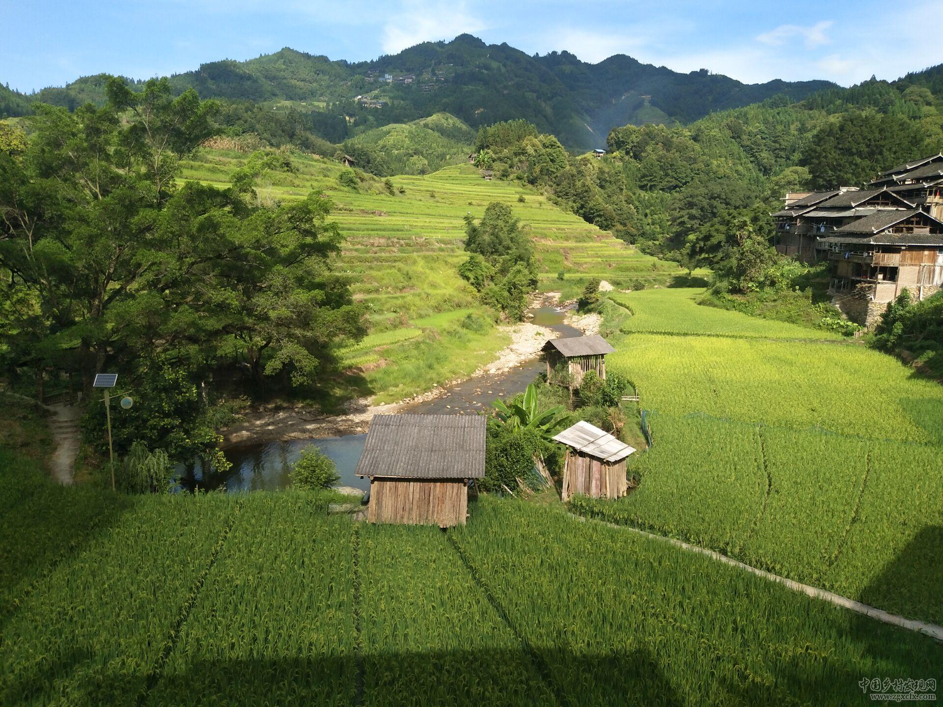 美麗壯鄉(xiāng)書寫農(nóng)村新生活(圖7)