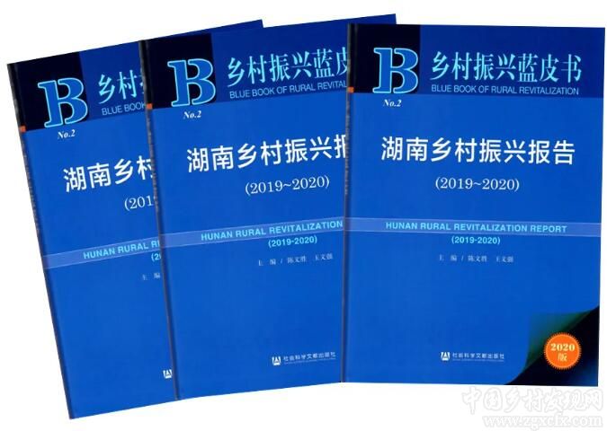 《湖南鄉(xiāng)村振興藍皮書》發(fā)布會隆重舉行(圖10)