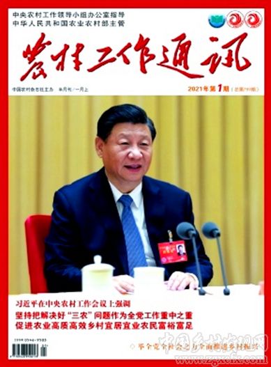 李珺:在全面推進鄉村振興中傳承提升鄉村文化(圖1)