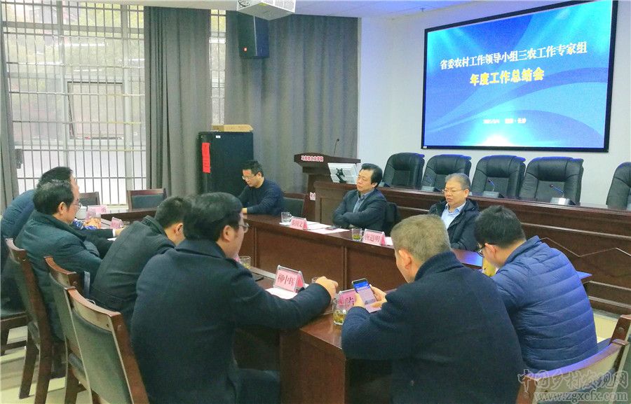 省委三農工作專家組年度總結會在湖師大鄉研院召開(圖1)