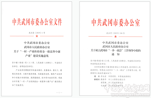 陳文勝等:以供給側(cè)結(jié)構(gòu)性改革為動力構(gòu)建全域鄉(xiāng)村振興新格局(圖1)