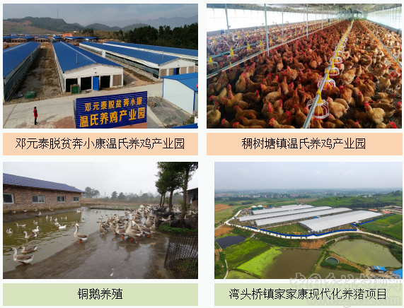 陳文勝等:以供給側(cè)結(jié)構(gòu)性改革為動力構(gòu)建全域鄉(xiāng)村振興新格局(圖2)
