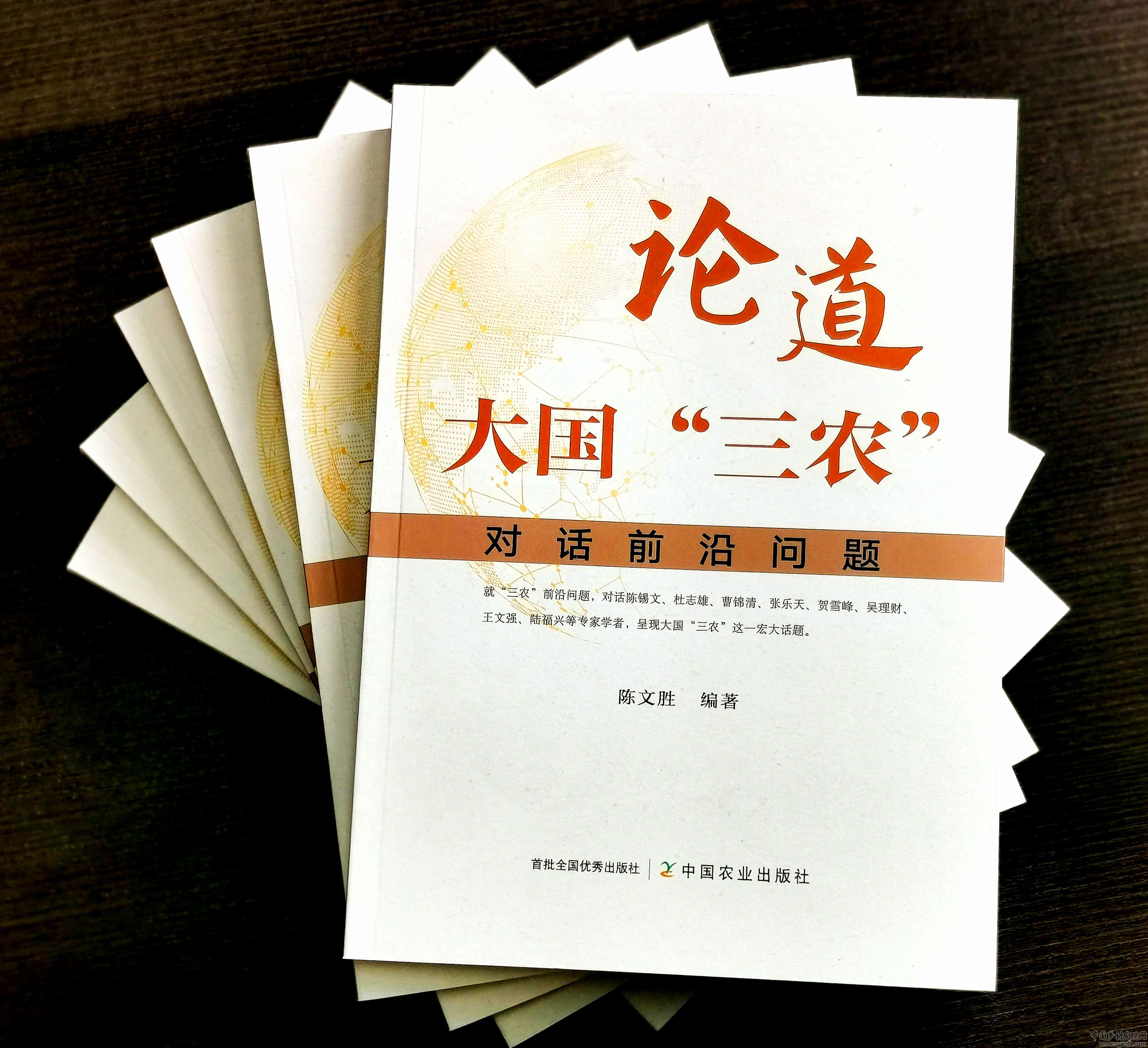 陳文勝:進入新發展階段的大國“三農”(圖2)