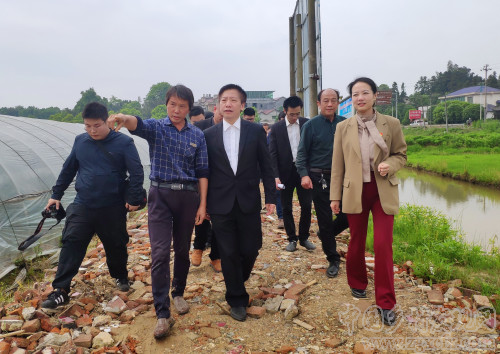 湖南師大鄉研院研究基地在瀏陽市官橋鎮石灰嘴村掛牌(圖4)