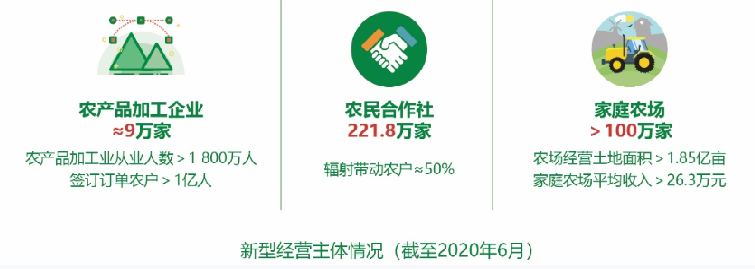 農業農村部發布“十三五”時期農業現代化發展情況報告（附全文）(圖8)